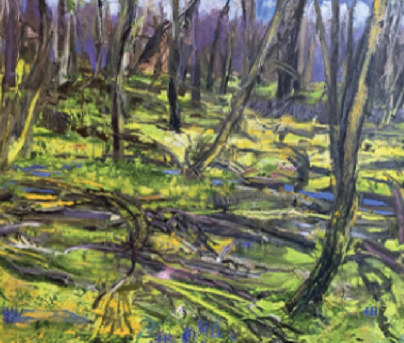 Forest Bathing 4