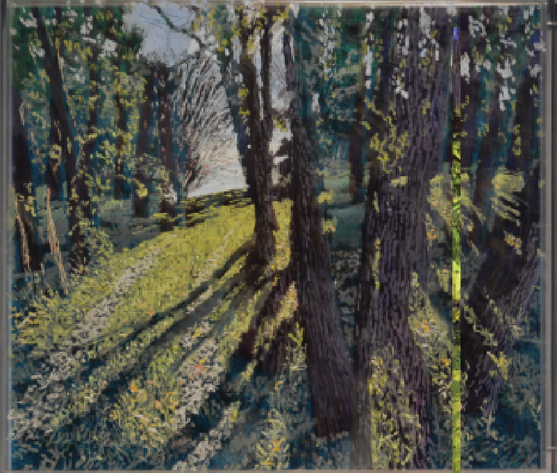 Forest Bathing 5