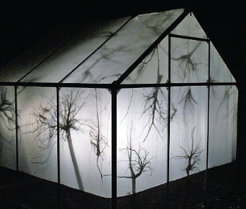 Shelter 3