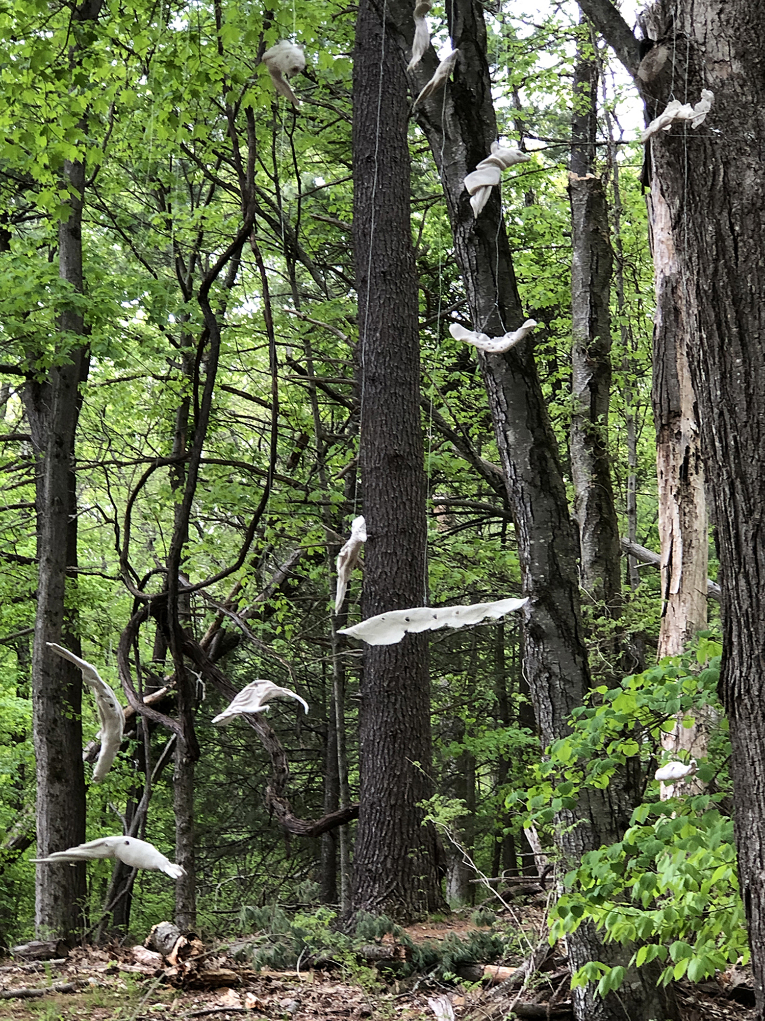 CREATURES IN THE CANOPY, 300dpi Jan Harrison & Alan Baer, detail Closeup view of porcelain animal sculptures for SHELTER Exhibition, 2022