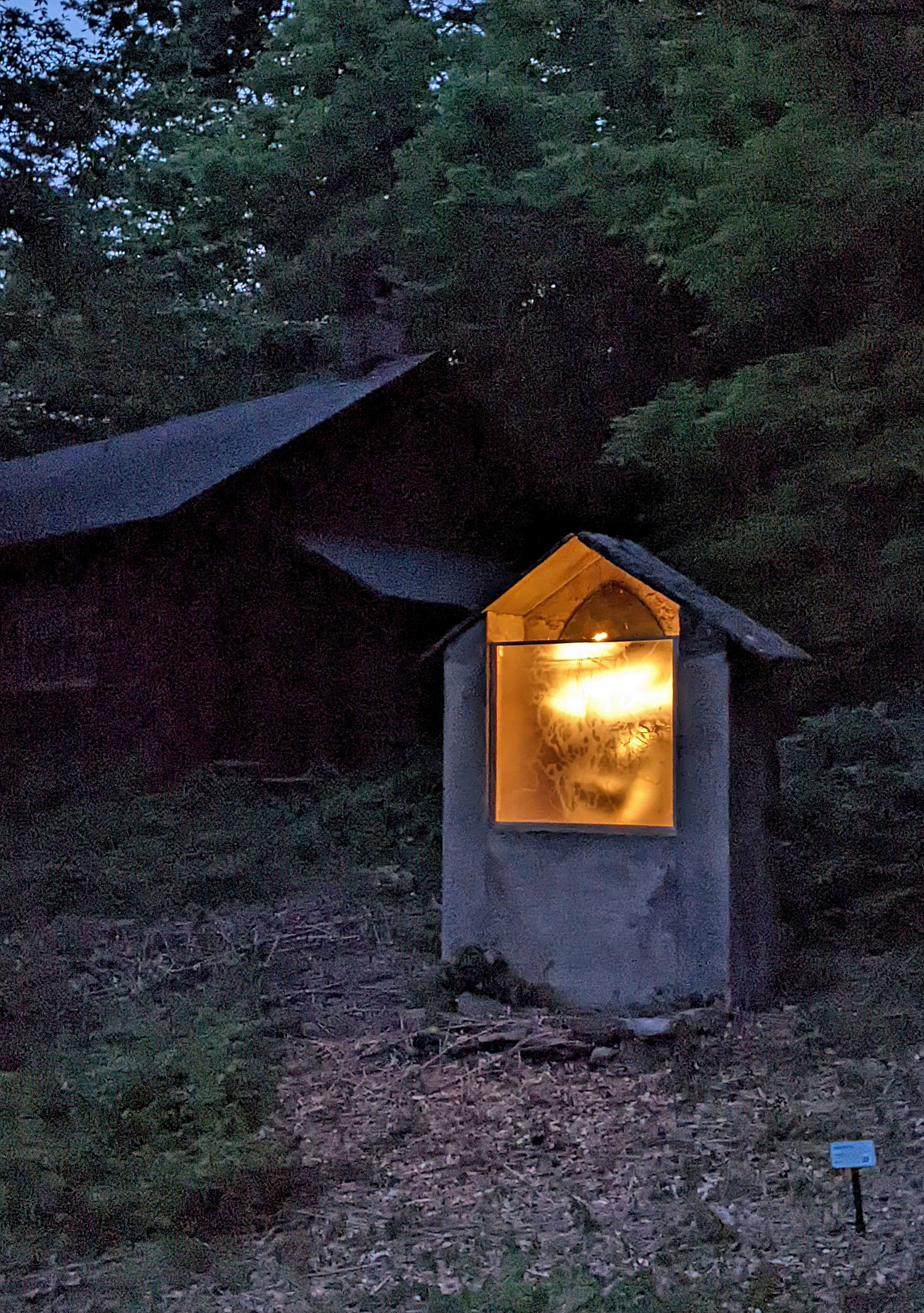 Sureck UpROOT at night SHELTER