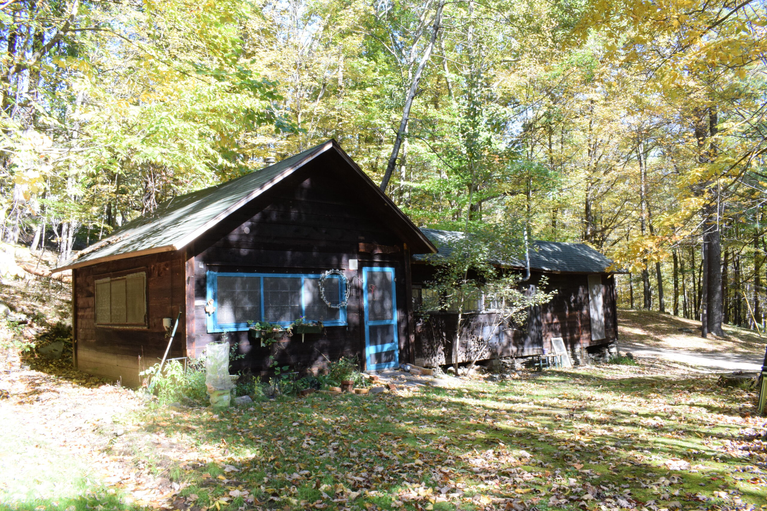 Chipmunk 2018-10-16 (1)