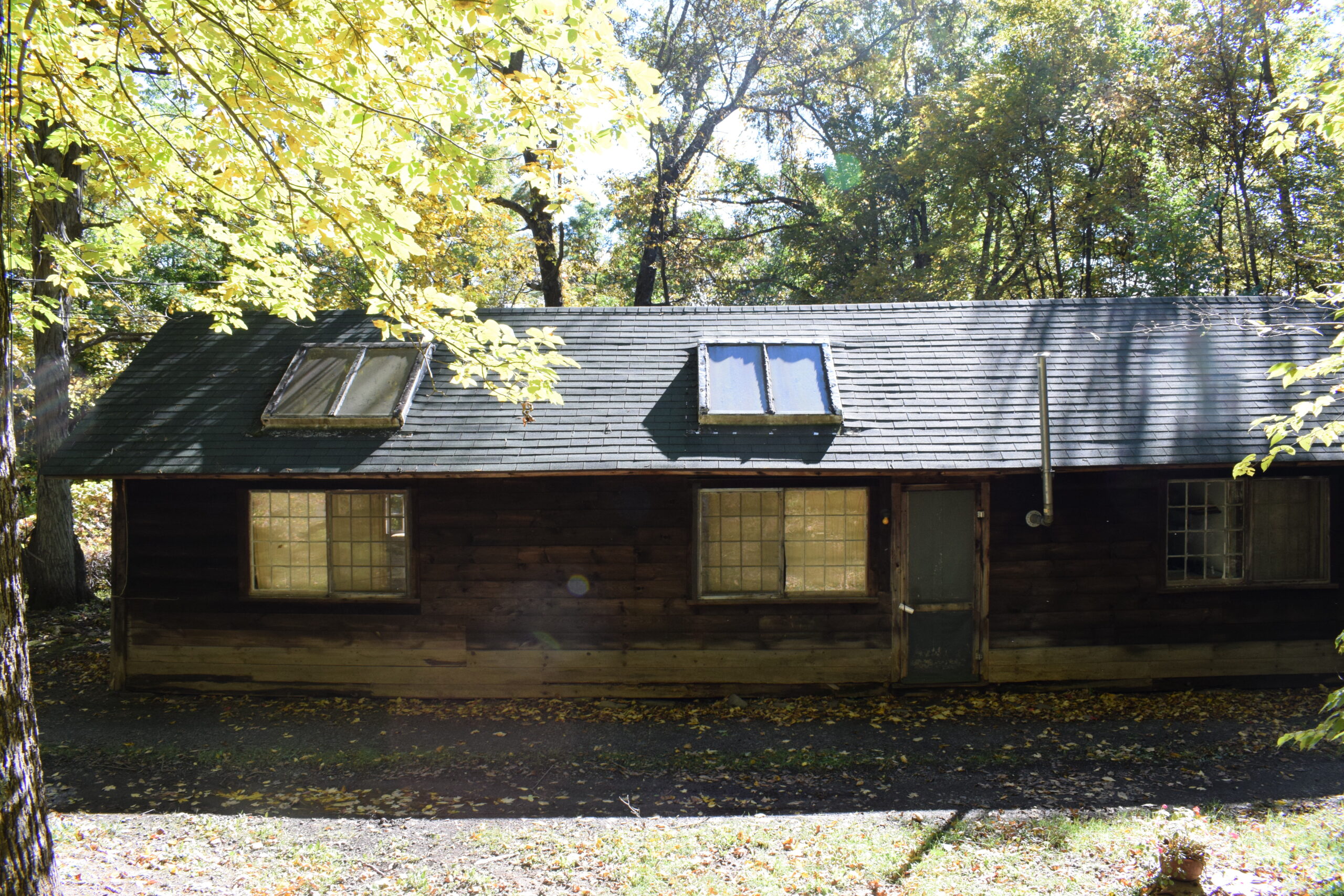 Skylights_East 2018-10-16 (1)